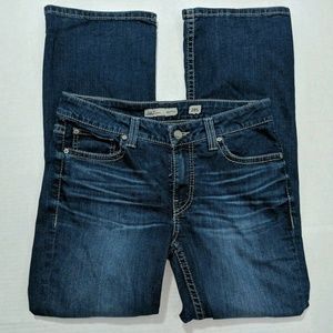 BKE Dakota Jeans Sz 28 B173
